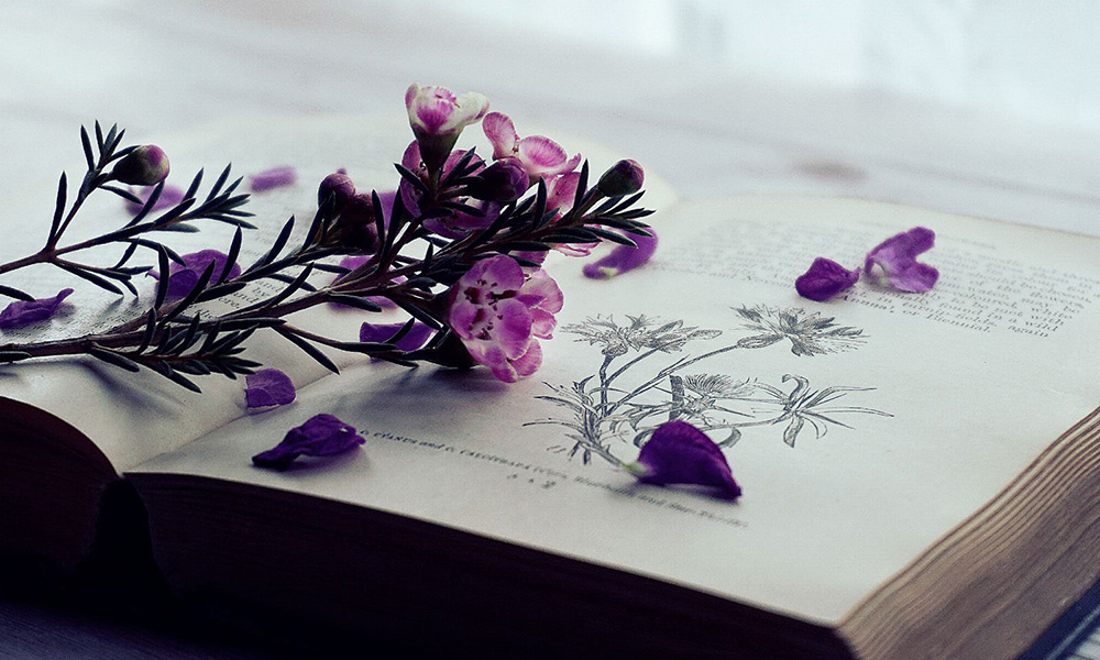 Βιβλίο με λουλούδι