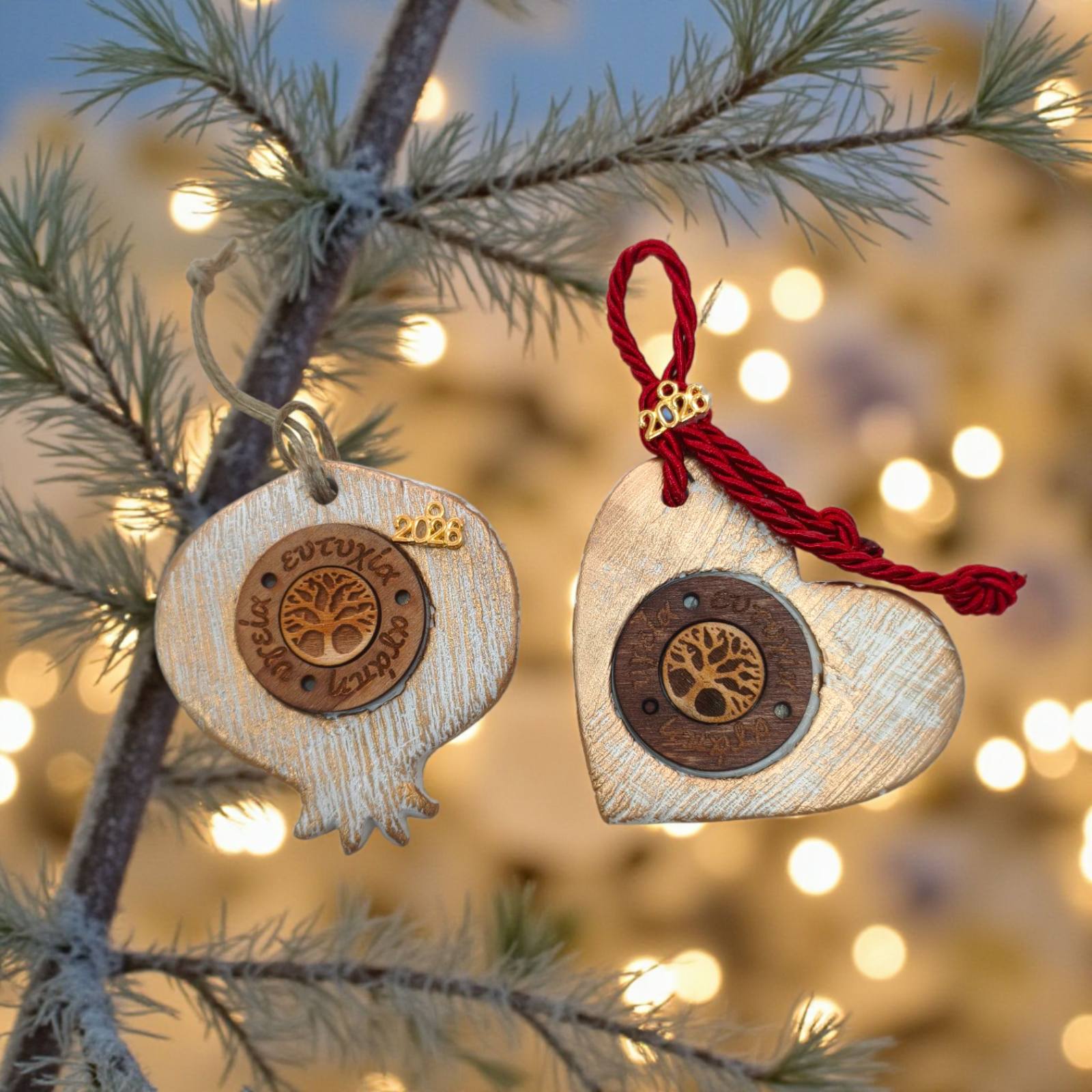 Πολυμέσα (8)